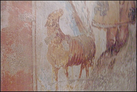 Anteprima. Clicca per ingrandire